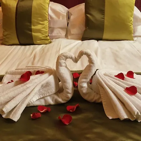 Dutch Masters Short * Amsterdam