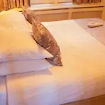 アパート ダッチ マスターズ アムステルダム