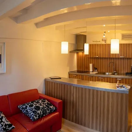 داتش ماسترز شورت ستاي