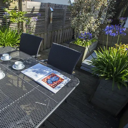 داتش ماسترز شورت ستاي *