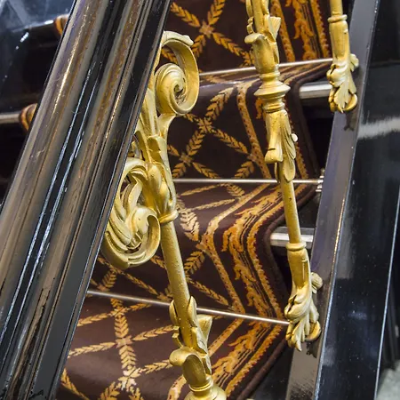 شقة داتش ماسترز شورت ستاي